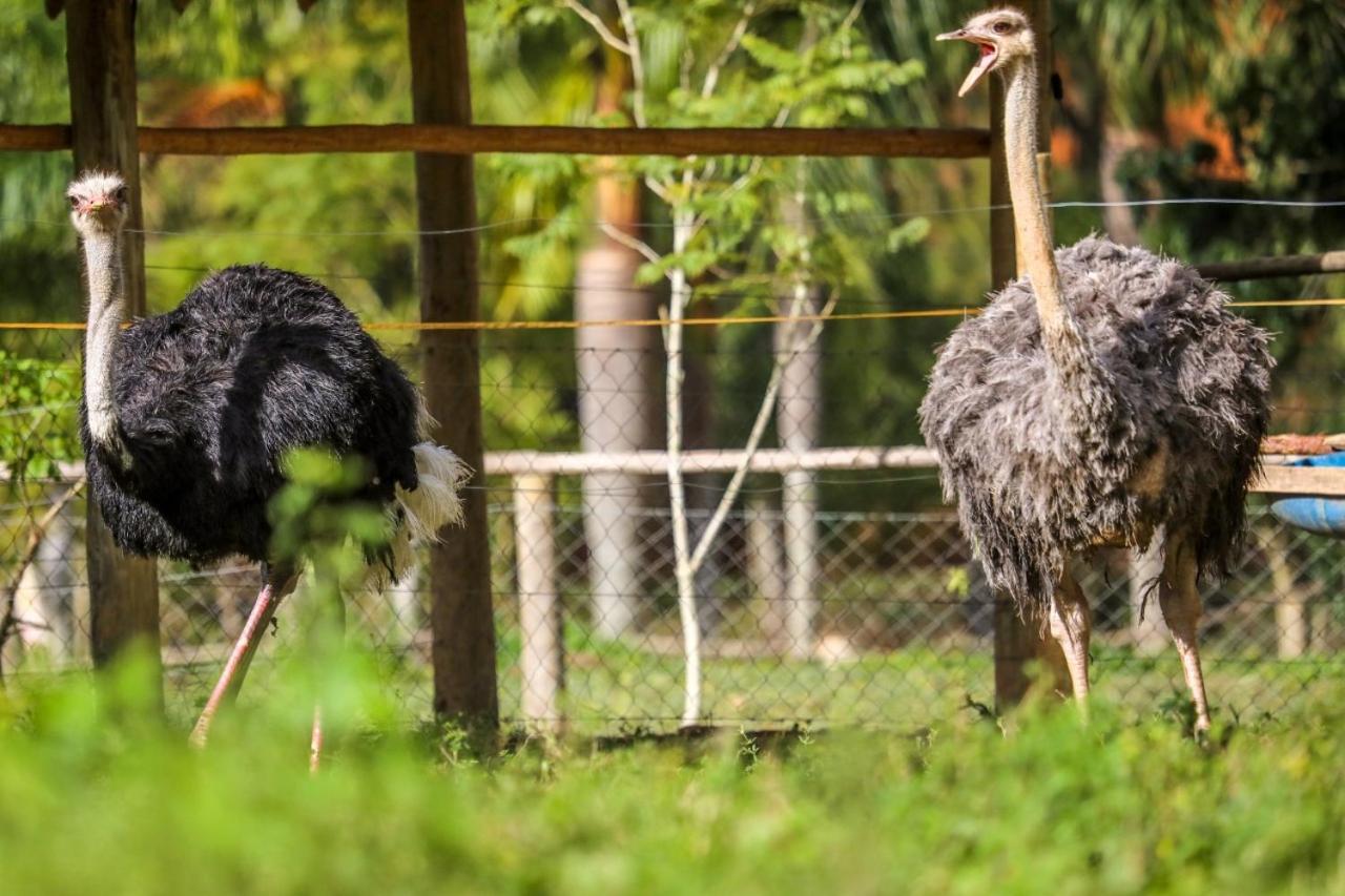 Fazenda Gamela Eco Cantagalo (Rio de Janeiro)